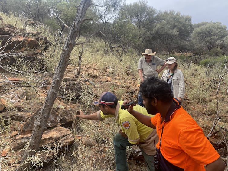 A group stand in rocky scrub, searing for kungaka