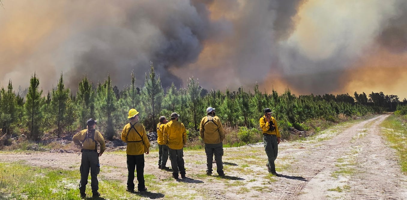 Why the Southeast is burning – extreme drought is only part of the cause