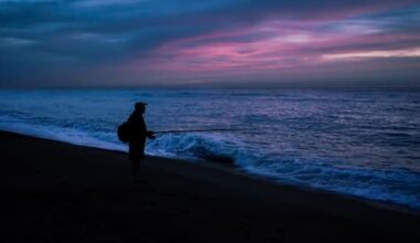 Man charged with midnight fishing in Auckland marine reserve
