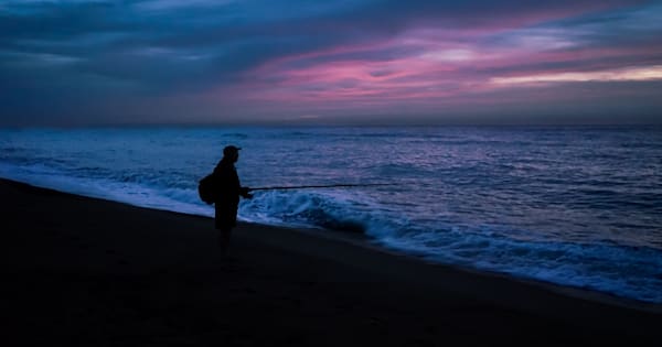 Man charged with midnight fishing in Auckland marine reserve