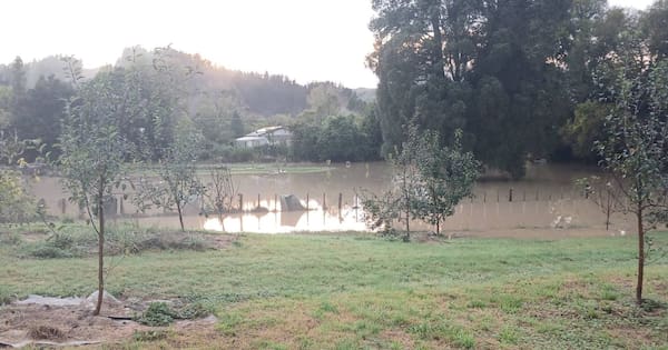 States of local emergency in Whanganui, Ōhura as heavy rain hits