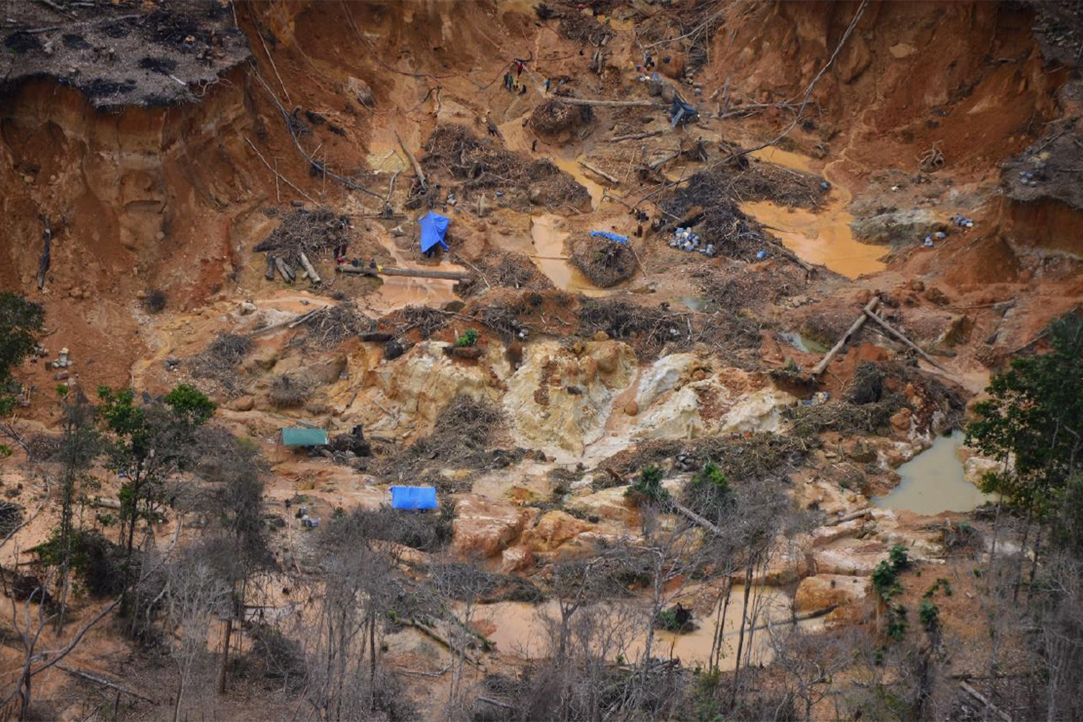 AI tool tracks spread of illegal gold mining in Amazon protected areas