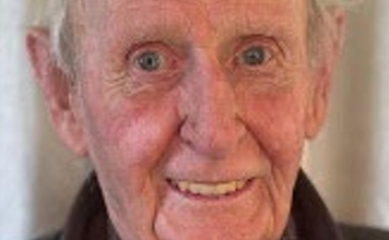 Councillor investigated over alleged assault