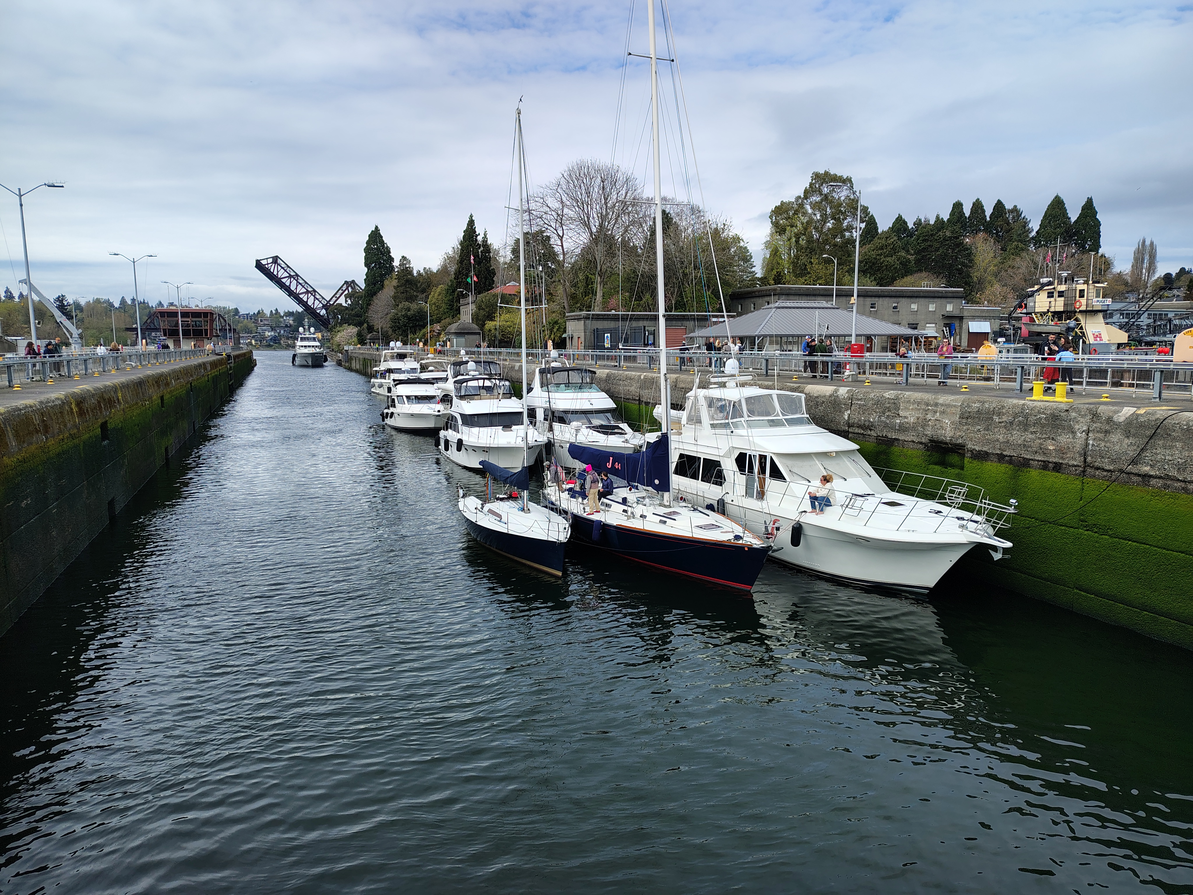 Boats lined up on the water
