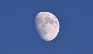 See the moon shining in the daytime sky this week — Here's where to look