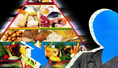 Meta’s New AI Asked for My Raw Health Data—and Gave Me Terrible Advice