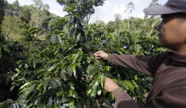 Changes in the Coffee Trade Will Filter Down to Consumers