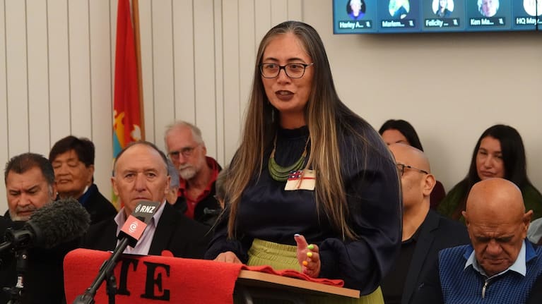 Green MP Hūhana Lyndon addresses councillors.