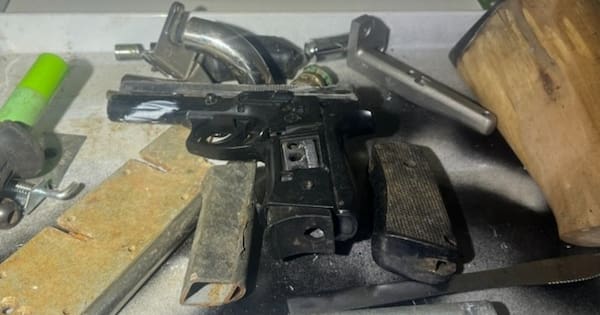 Man busted while allegedly making guns during Auckland raid