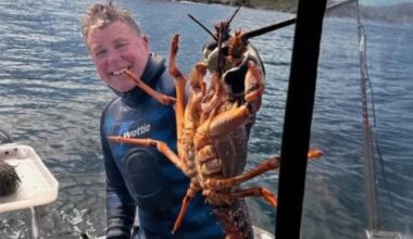 Southland businessman's boat death linked to generator fumes