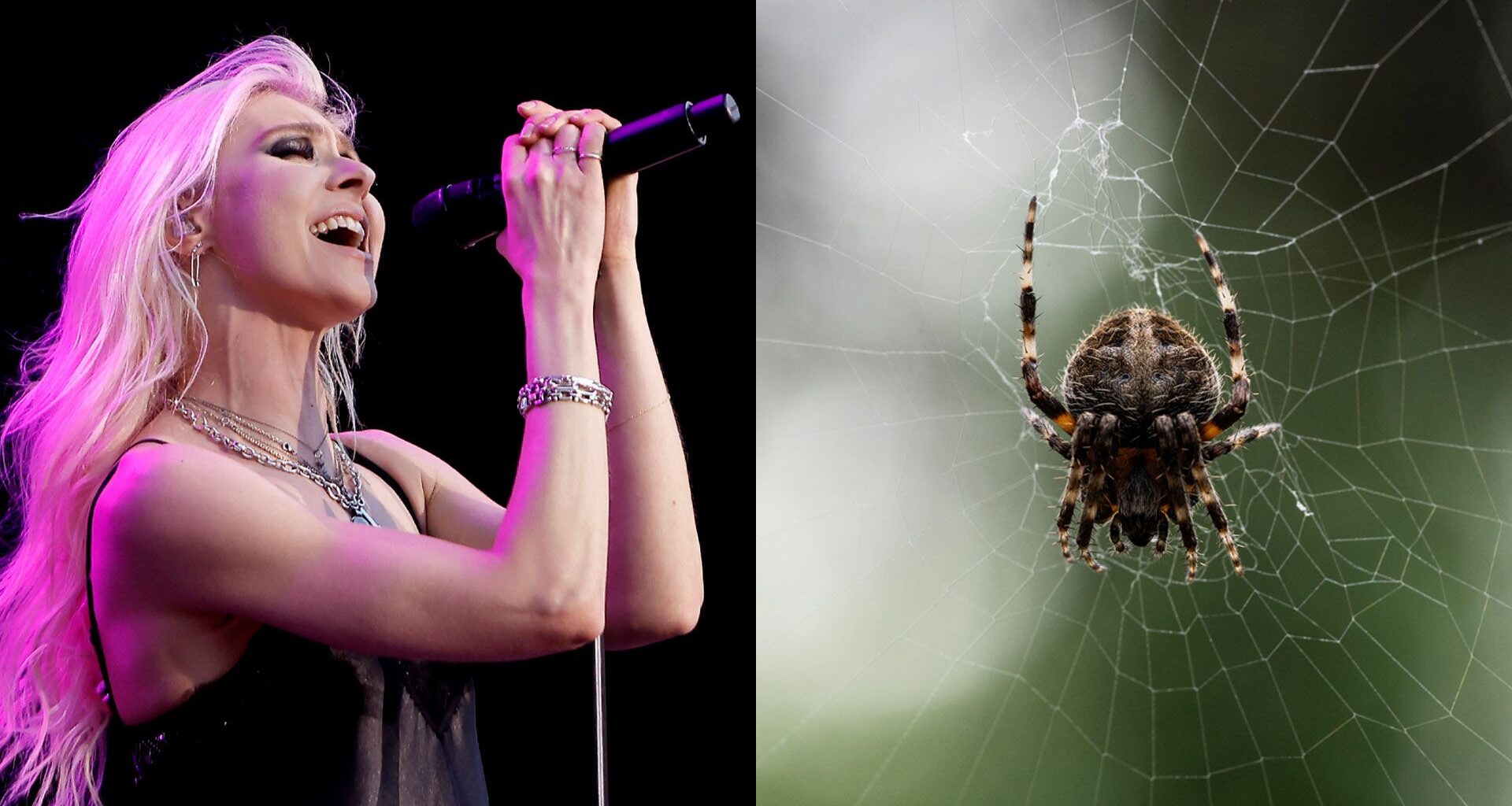 Taylor Momsen of The Pretty Reckless performs during the Power Up tour at Nissan Stadium on May 21, 2025 in Nashville, Tennessee. And a spider.