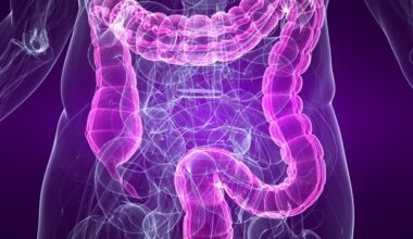 Gut microbiota regulates intestinal epithelial cell function and plasticity