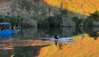Ultramarathon swimmer attempts record swim in Australian Ord River with large crocodile population