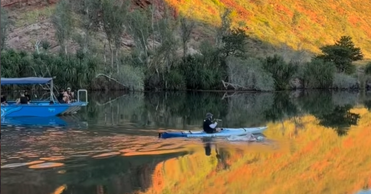 Ultramarathon swimmer attempts record swim in Australian Ord River with large crocodile population