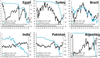 Egypt gets it right - Robin J Brooks