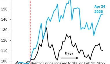 Physical Shortage and Global Growth