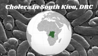 More than 4,600 cases of cholera reported in South Kivu in 1st quarter of 2026