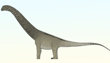 An artist’s reconstruction of Phosphatotitan khouribgaensis. Image credit: Connor Ashbridge.