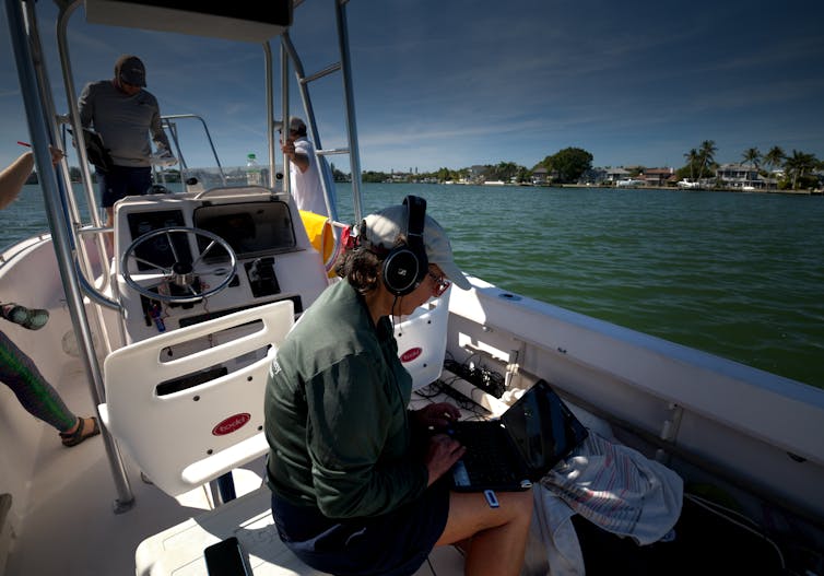 The author listens to dolphin whistles on a boat in Sarasota. Jonathan Bird from the film 'Call of the Dolphins'/Oceanic Research Group, Inc.