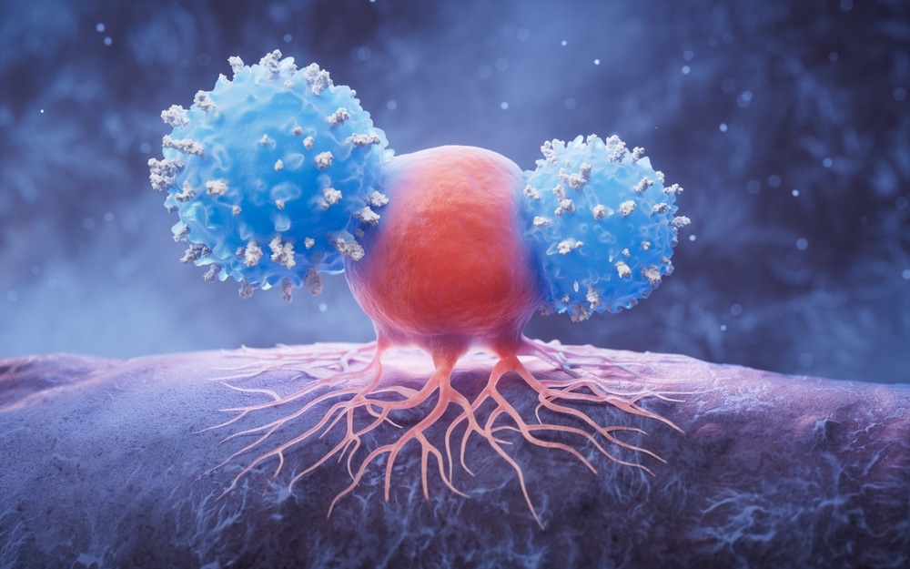 Study Shows Peritoneal Mesothelioma Microenvironment Creates Poor Immunotherapy Response