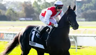 Jigsaw in seventh heaven after Quokka win