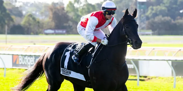 Jigsaw in seventh heaven after Quokka win