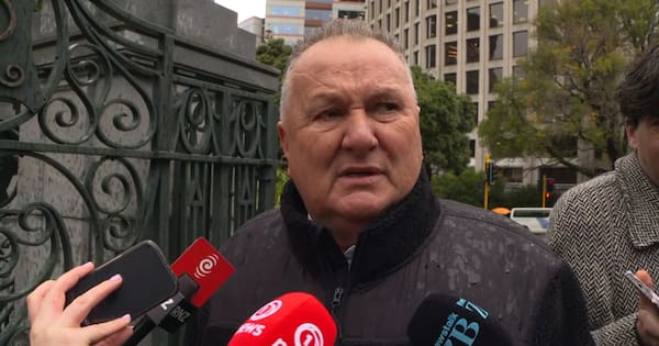 Shane Jones on 'butter chicken tsunami' comment
