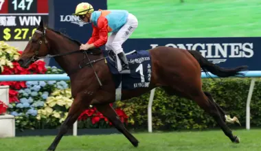 Ka Ying Rising breaks own track record in win No.19