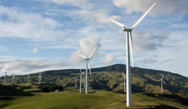 Climate Change Commission warns NZ ETS could fail without reform