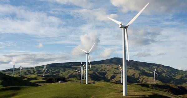Climate Change Commission warns NZ ETS could fail without reform