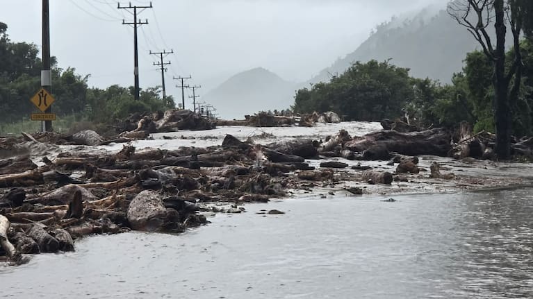 Logs and debris cover State Highway 67 on the West Coast.