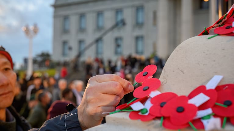 Man places red poppy on memorial during Anzac Day commemorations in Auckland.