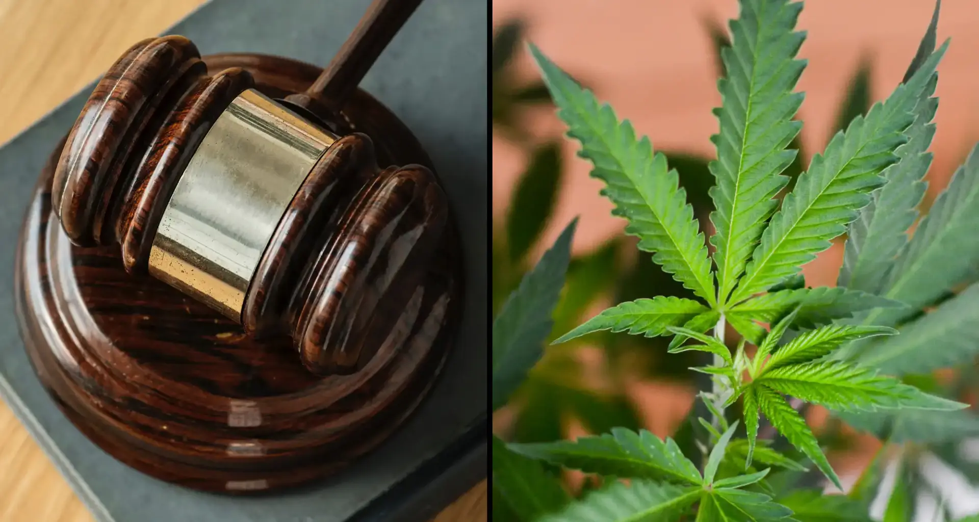 Judge Rejects Anti-Marijuana Groups' Motion To Block CBD And THC Medicare Coverage Plan, Setting Hearing For 4/20
