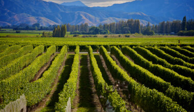 The Shout Magazine (New Zealand)