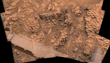 Curiosity Found Strange 'Dragon Scale' Rocks on Mars, And Scientists Are Excited : ScienceAlert