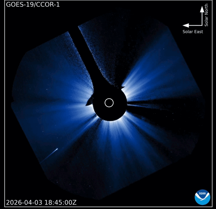 gif animation showing a bright white light streaking toward the sun - this is comet maps.
