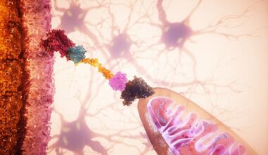 Scientists Revive Failing Cells With Mitochondria Transplants