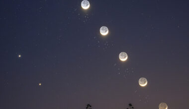 The crescent Moon, Venus, and the Pleiades travel across the twilight sky. The silhouettes of a few beach flowers decorate the foreground.