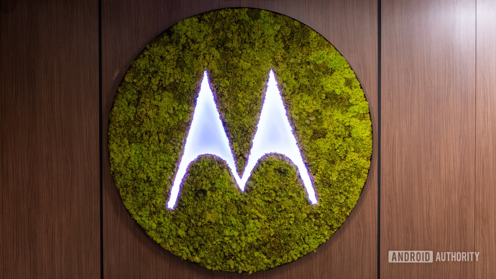 motorola moss logo motorola moss logo