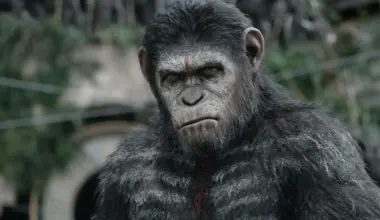 The Unprecedented Civil War of the Ngogo Chimpanzees