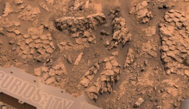NASA's Mars Rover Comes Across Formation That Looks Like the Scales of a Massive Cosmic Reptile