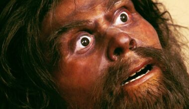 You Are Not Prepared to Learn the Size of Neanderthal Infants