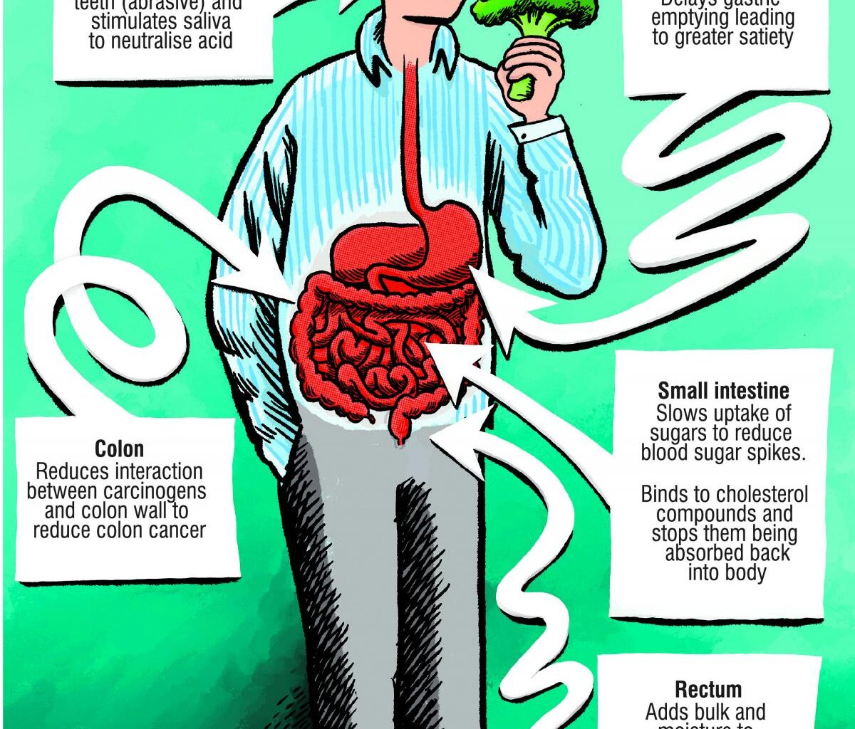Eating more fibre ‘becoming sexy’