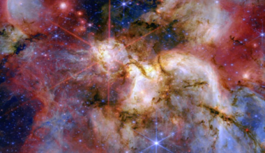 A stunning image of the star forming region W51 created by the JWST
