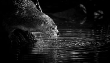Want to win up to US$200,000? Enter these top photo competitions, now open for submissions from April to July 2026