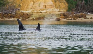 Media release 13 April 2026