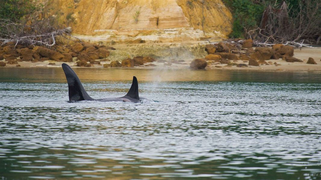 Media release 13 April 2026