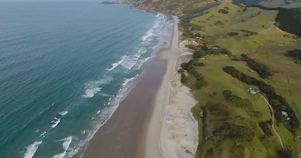 DOC decides no action needed over sand mining in Pākiri