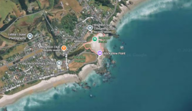 Person rushed to hospital after reports of marine mammal bite at Dunedin beach