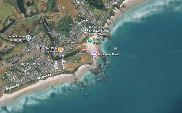 Person rushed to hospital after reports of marine mammal bite at Dunedin beach